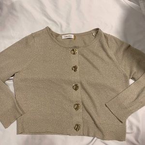 Calvin Klein Size Small Sparkly Sweater!